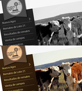 Dise&ntilde;o web Nuevo Agro