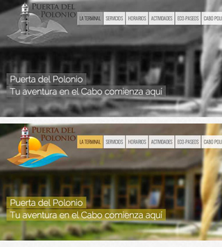 Sitio web
